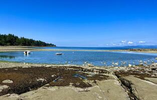 Low tides in the Pacific Ocean on Vancouver Island in Canada are visible to my fellow countrymen and somewhere on the pier there is a ship that may soon capsize because the water is leaving photo