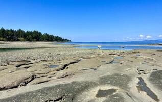 Low tides in the Pacific Ocean on Vancouver Island in Canada are visible to my fellow countrymen and somewhere on the pier there is a ship that may soon capsize because the water is leaving photo