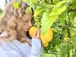 a teenage girl is standing near a lemon tree she is holding a lemon in her hands she is sniffing it she is going to make lemonade or tea with lemon photo