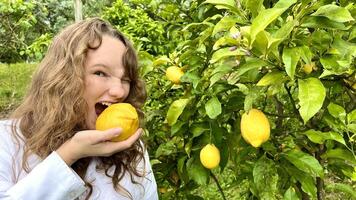 a cheerful teenage girl in a white blouse plays with lemons against the background of a lemon tree she shouts in delight and rejoices photo