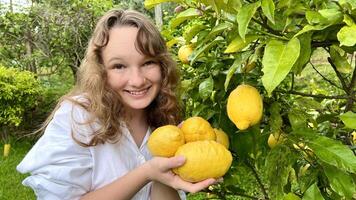 a teenage girl is standing near a lemon tree she is holding a lemon in her hands she is sniffing it she is going to make lemonade or tea with lemon photo