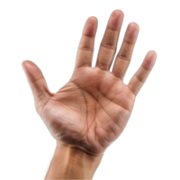 a hand with a palm up png