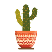 flat illustration cacuts in traditional pattern pot exotic plant png