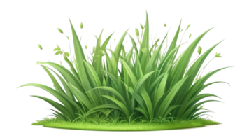 Gras Clip Art mit transparent Hintergrund png