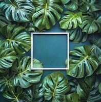 Group of Green Leaves Arranged in a Circle photo