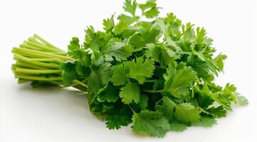 A Bunch of Parsley on White Surface photo