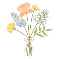 Bouquet of wildflowers. Floral illustration. Flowers tied with ribbon. Meadow herbs, and wild plants for design projects vector