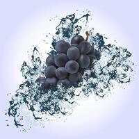Grapes under splashes of water on a light background. vector