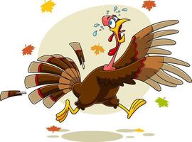 Scared Turkey Cartoon Characters Running vector