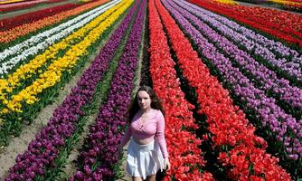 Beautiful girl walks in field with tulips She has long hair Looks into the frame white skirt pink blouse Flowers grow in rows they are different colors Large field of tulips good mood bright colors photo