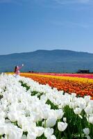 a young girl walks on a white field dancing in a white tennis skirt tenderness virginity beauty against the background of mountains Youth walk in nature in spring photo