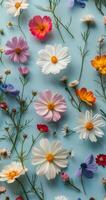 Assorted Colored Flowers on Blue Surface photo