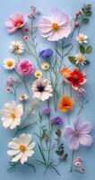 Assorted Colored Flowers on Blue Surface photo