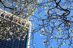 varios reconocible lugares y atracciones de Vancouver en Canadá ciudad centrar bueno clima limpiar céntrico azul cielo enorme edificios rascacielos muchos videos y fotos de esta tema británico Columbia