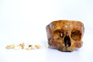 human Skull and teeth lie on a white background medicine research the structure of the human body space for eyes for nose space for text Human skull on isolated white background photo