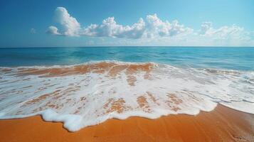 Sandy Beach With Grass and Ocean Background photo