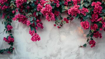 White Wall With Red Flowers photo