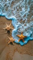 Starfish Resting on Sandy Beach by Ocean photo