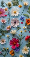 clasificado de colores flores en azul superficie foto