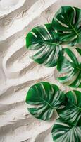 Group of Green Leaves on Sandy Beach photo