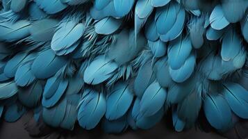 Blue Feathers Cluster photo
