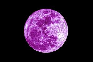 The Purple Moon photo