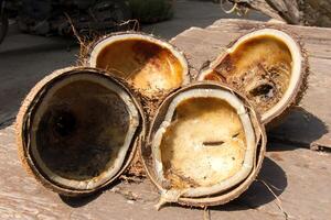 Coconut Shells on Wooden Table photo