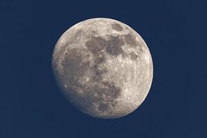Gibbous Moon background photo