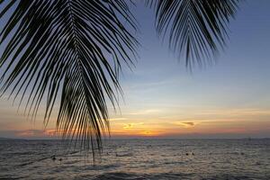 Sunset on a Tropical Beach photo