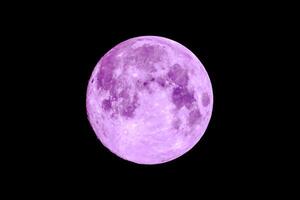 Purple Full Moon on black background photo