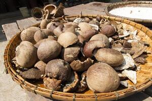 Dried Coconuts in a Basket photo