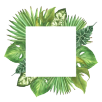 tropisch Grün Blätter Platz rahmen, exotisch Zuhause Anlage, Monstera Palme, Schlingpflanze. Vielfalt von Blatt Typen. botanisch Urwald Clip Art zum Karte. Aquarell Hand gezeichnet Illustration. isoliert Hintergrund. png