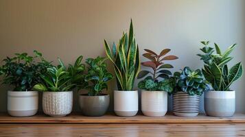 fila de en conserva plantas en de madera estante foto