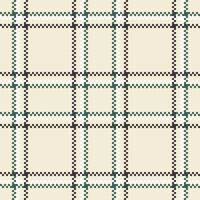 Plaid Patterns Seamless. Gingham Patterns for Shirt Printing,clothes, Dresses, Tablecloths, Blankets, Bedding, Paper,quilt,fabric and Other Textile Products. vector