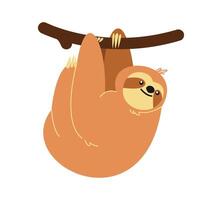 cute sloth hanging on the tree. flat illustration. vector