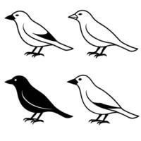 set of birds vector