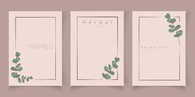 Botanical eucalyptus frame set. Hand drawn round, rectangle, hexagon line border, leaves and flowers for wedding invitation and cards, logo design, social media and posters template. Elegant minimal. vector