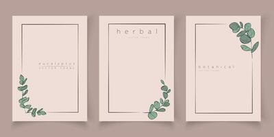 Botanical eucalyptus frame set. Hand drawn round, rectangle, hexagon line border, leaves and flowers for wedding invitation and cards, logo design, social media and posters template. Elegant minimal. vector