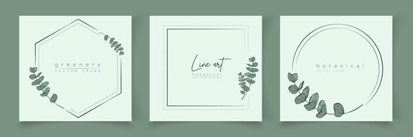Botanical eucalyptus frame set. Hand drawn round, rectangle, hexagon line border, leaves and flowers for wedding invitation and cards, logo design, social media and posters template. Elegant minimal. vector