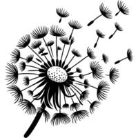 Dandelion inflorescence with flying seeds close up in monochrome. Dandelion seeds fly away on parachutes. Simple minimalistic in black ink drawing on white background vector