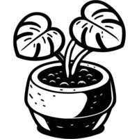 Monstera flower growing in ceramic pot in monochrome. Growing exotic plants at home. Simple minimalistic in black ink drawing on white background vector