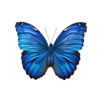 blauw vlinder geïsoleerd Aan transparant achtergrond png