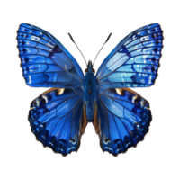 blauw vlinder geïsoleerd Aan transparant achtergrond png