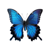 Blue butterfly isolated on transparent background png