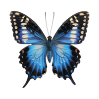 Blue butterfly isolated on transparent background png
