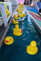 Cloverdale rodeo country fair get back to Country family events Canada Vancouver Surrey rubber yellow ducks float on the water attraction catch a duck with a magnet close-up toy photo