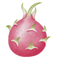 Obst Essen saftig png