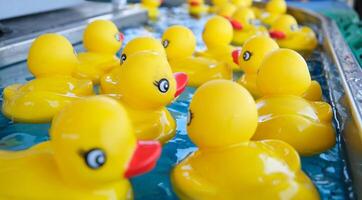 trébol rodeo país justa obtener espalda a país familia eventos Canadá Vancouver surrey caucho amarillo patos flotador en el agua atracción captura un Pato con un imán de cerca juguete foto