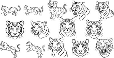 Tigre línea Arte diseños ,animal diseños vector