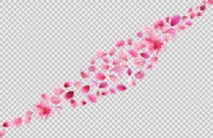 flying sakura petals. Flower decoration vector